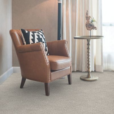 beige carpets in a Orange Park living room